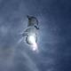 Starship prototype SN10 during its high-altitude test on March 3, 2021.